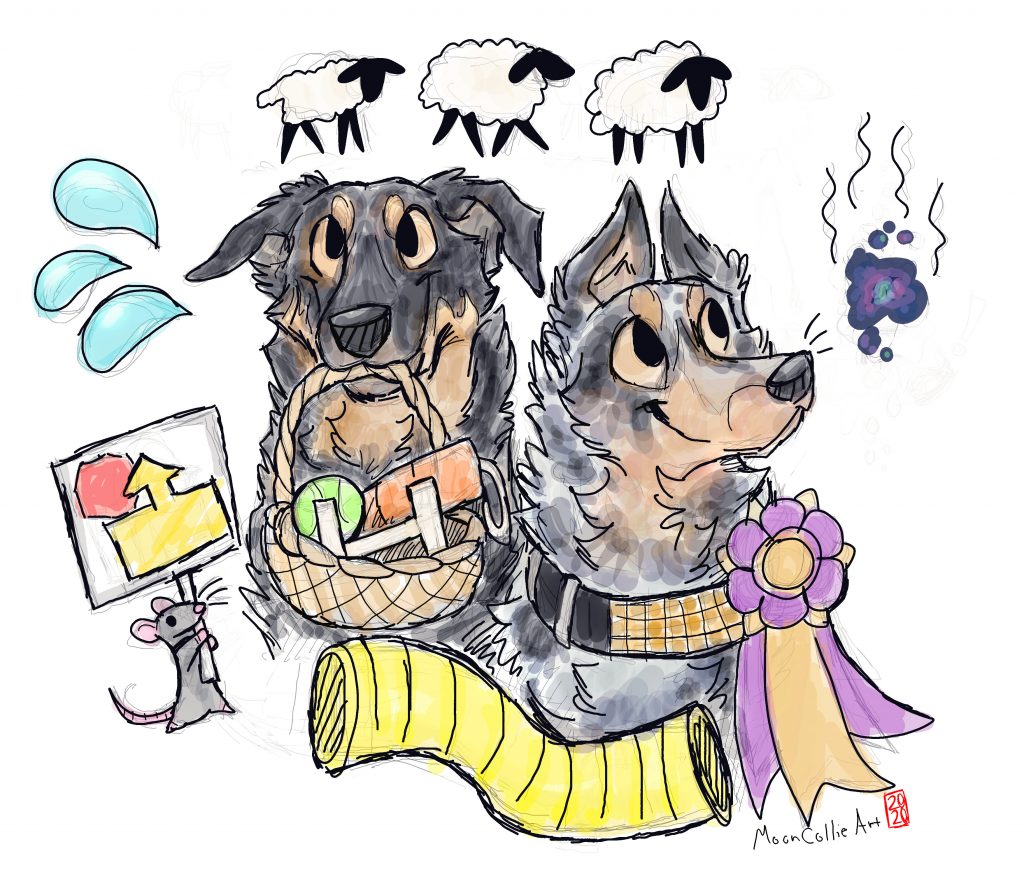 beauceronsportcartoonart2