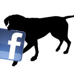 facebook dog