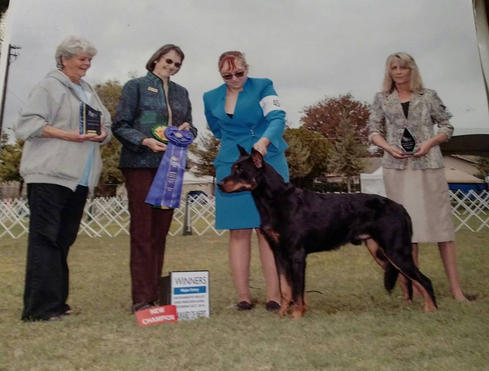ABC CoE Breeders American Beauceron Club