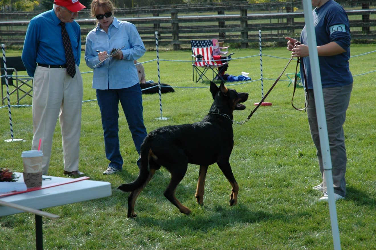 Journee2005005 American Beauceron Club