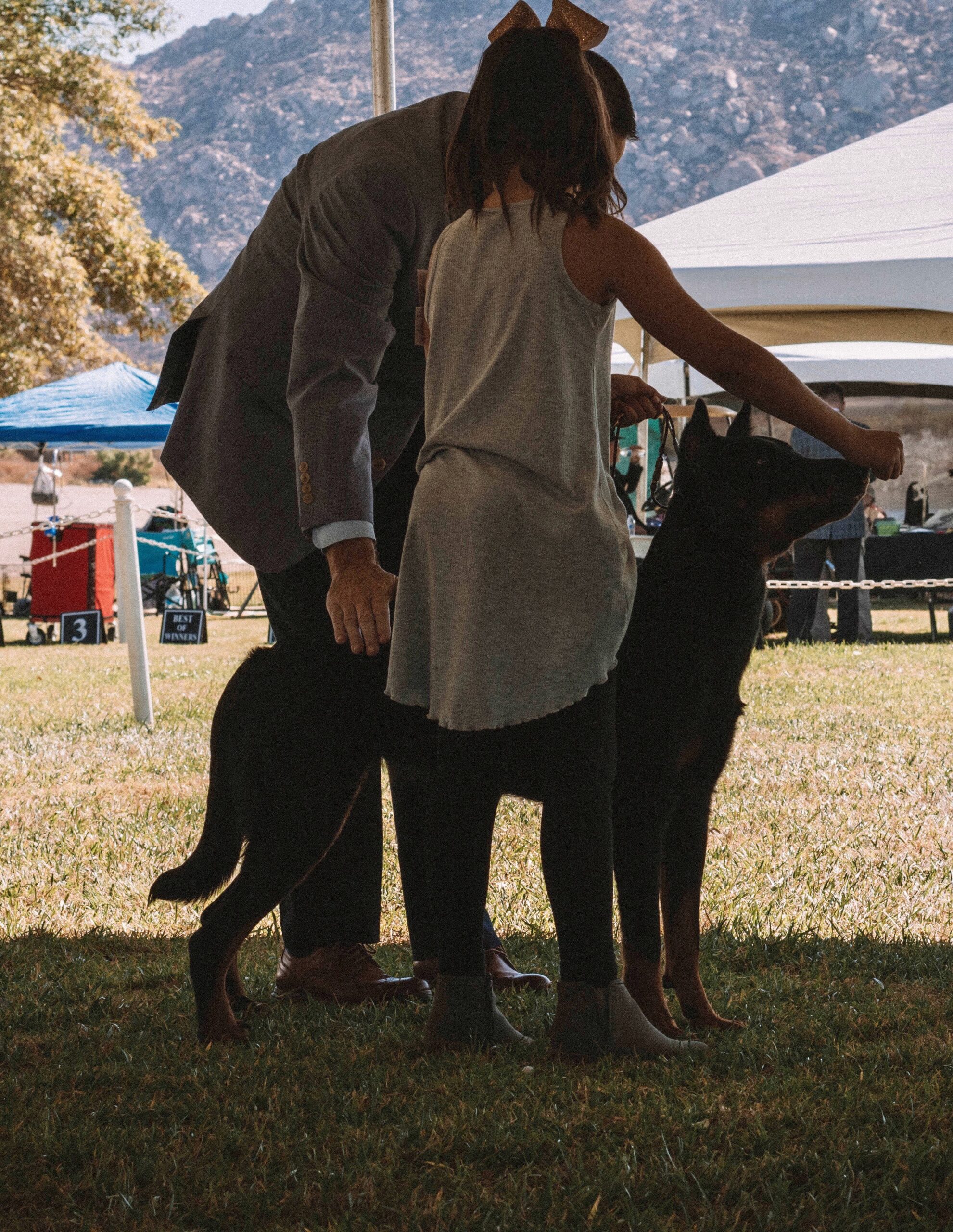 Oct2019 American Beauceron Club